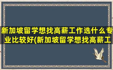 新加坡留学想找高薪工作选什么专业比较好(新加坡留学想找高薪工作选什么专业)