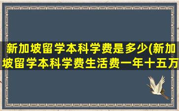 新加坡留学本科学费是多少(新加坡留学本科学费生活费一年十五万够吗)