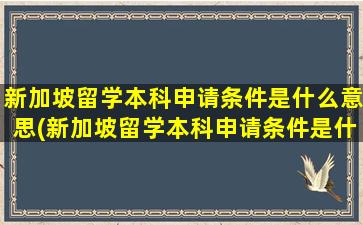 新加坡留学本科申请条件是什么意思(新加坡留学本科申请条件是什么呢)