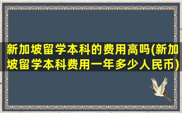 新加坡留学本科的费用高吗(新加坡留学本科费用一年多少人民币)