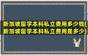 新加坡留学本科私立费用多少钱(新加坡留学本科私立费用是多少)