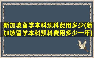 新加坡留学本科预科费用多少(新加坡留学本科预科费用多少一年)