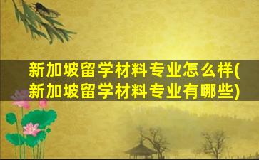 新加坡留学材料专业怎么样(新加坡留学材料专业有哪些)