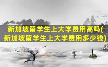 新加坡留学生上大学费用高吗(新加坡留学生上大学费用多少钱)