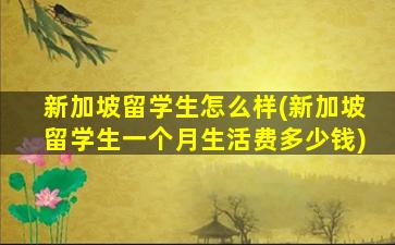 新加坡留学生怎么样(新加坡留学生一个月生活费多少钱)