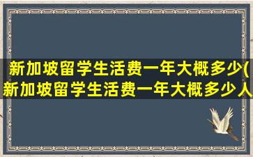 新加坡留学生活费一年大概多少(新加坡留学生活费一年大概多少人民币)