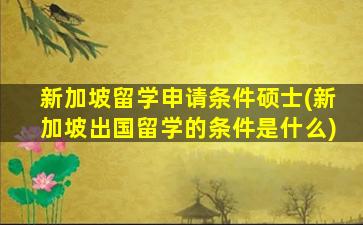 新加坡留学申请条件硕士(新加坡出国留学的条件是什么)