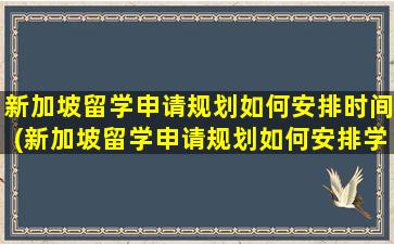 新加坡留学申请规划如何安排时间(新加坡留学申请规划如何安排学生)