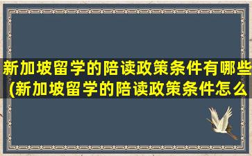 新加坡留学的陪读政策条件有哪些(新加坡留学的陪读政策条件怎么样)