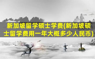 新加坡留学硕士学费(新加坡硕士留学费用一年大概多少人民币)