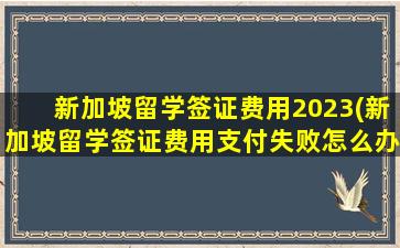 新加坡留学签证费用2023(新加坡留学签证费用支付失败怎么办)