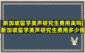 新加坡留学美声研究生费用高吗(新加坡留学美声研究生费用多少钱)