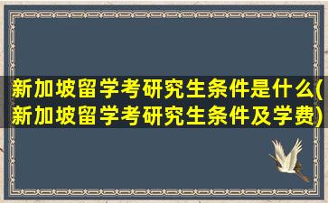 新加坡留学考研究生条件是什么(新加坡留学考研究生条件及学费)