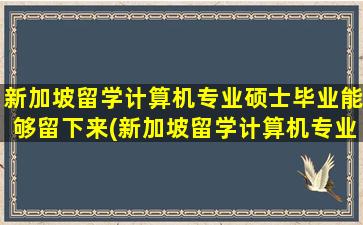 新加坡留学计算机专业硕士毕业能够留下来(新加坡留学计算机专业费用一年大概多少人民币)