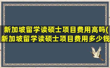 新加坡留学读硕士项目费用高吗(新加坡留学读硕士项目费用多少钱)