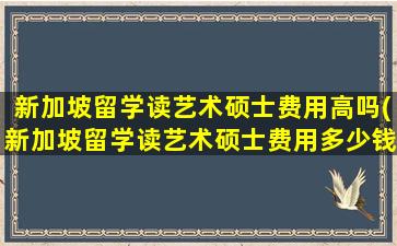 新加坡留学读艺术硕士费用高吗(新加坡留学读艺术硕士费用多少钱)