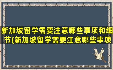 新加坡留学需要注意哪些事项和细节(新加坡留学需要注意哪些事项和要求)