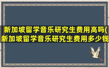 新加坡留学音乐研究生费用高吗(新加坡留学音乐研究生费用多少钱)