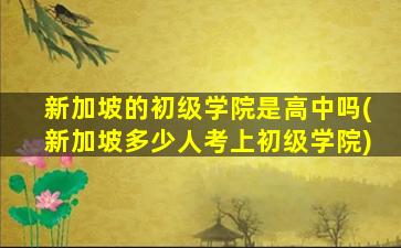 新加坡的初级学院是高中吗(新加坡多少人考上初级学院)