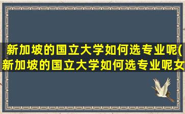 新加坡的国立大学如何选专业呢(新加坡的国立大学如何选专业呢女生)