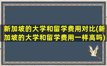 新加坡的大学和留学费用对比(新加坡的大学和留学费用一样高吗)