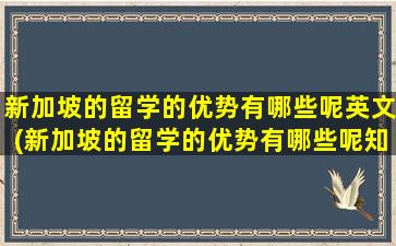 新加坡的留学的优势有哪些呢英文(新加坡的留学的优势有哪些呢知乎)