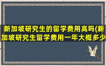 新加坡研究生的留学费用高吗(新加坡研究生留学费用一年大概多少人民币)