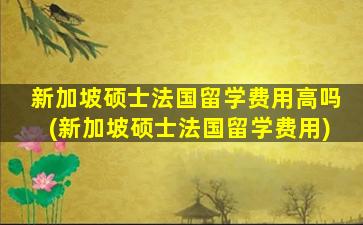 新加坡硕士法国留学费用高吗(新加坡硕士法国留学费用)