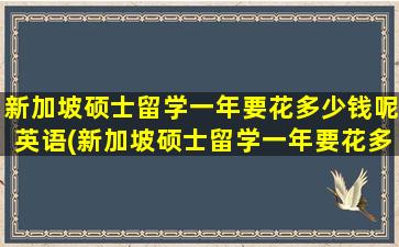 新加坡硕士留学一年要花多少钱呢英语(新加坡硕士留学一年要花多少钱呢)