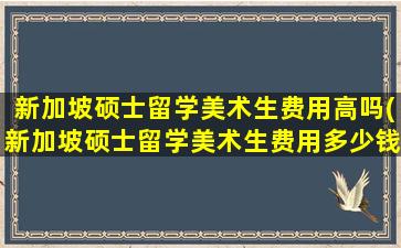 新加坡硕士留学美术生费用高吗(新加坡硕士留学美术生费用多少钱)