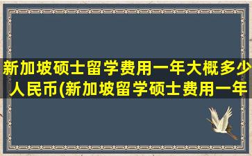 新加坡硕士留学费用一年大概多少人民币(新加坡留学硕士费用一年多少人民币)