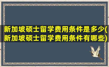 新加坡硕士留学费用条件是多少(新加坡硕士留学费用条件有哪些)