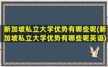 新加坡私立大学优势有哪些呢(新加坡私立大学优势有哪些呢英语)