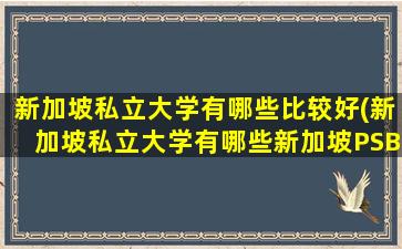 新加坡私立大学有哪些比较好(新加坡私立大学有哪些新加坡PSB学院)