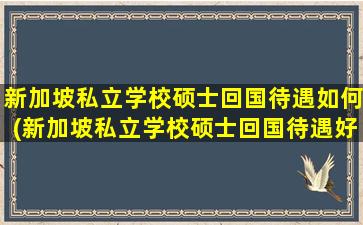 新加坡私立学校硕士回国待遇如何(新加坡私立学校硕士回国待遇好吗)