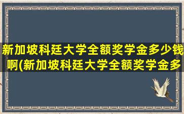 新加坡科廷大学全额奖学金多少钱啊(新加坡科廷大学全额奖学金多少钱一个月)