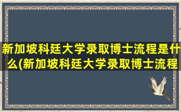 新加坡科廷大学录取博士流程是什么(新加坡科廷大学录取博士流程视频)