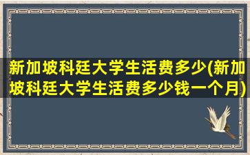 新加坡科廷大学生活费多少(新加坡科廷大学生活费多少钱一个月)