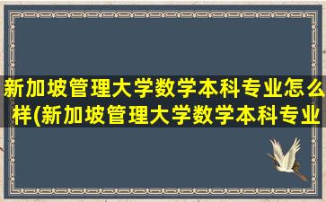 新加坡管理大学数学本科专业怎么样(新加坡管理大学数学本科专业排名)