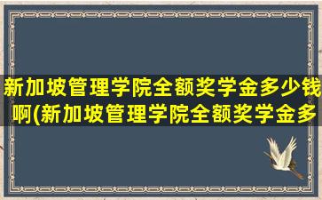 新加坡管理学院全额奖学金多少钱啊(新加坡管理学院全额奖学金多少钱一个月)