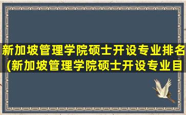 新加坡管理学院硕士开设专业排名(新加坡管理学院硕士开设专业目录)