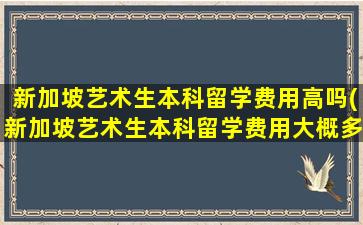 新加坡艺术生本科留学费用高吗(新加坡艺术生本科留学费用大概多少)