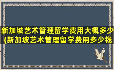 新加坡艺术管理留学费用大概多少(新加坡艺术管理留学费用多少钱)