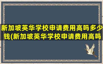 新加坡英华学校申请费用高吗多少钱(新加坡英华学校申请费用高吗)