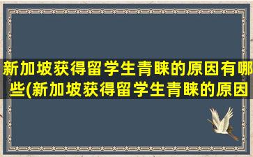 新加坡获得留学生青睐的原因有哪些(新加坡获得留学生青睐的原因是)