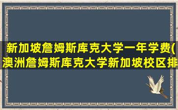 新加坡詹姆斯库克大学一年学费(澳洲詹姆斯库克大学新加坡校区排名)