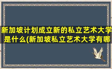 新加坡计划成立新的私立艺术大学是什么(新加坡私立艺术大学有哪些)