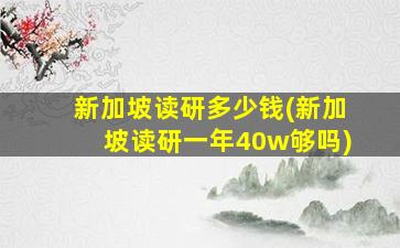 新加坡读研多少钱(新加坡读研一年40w够吗)