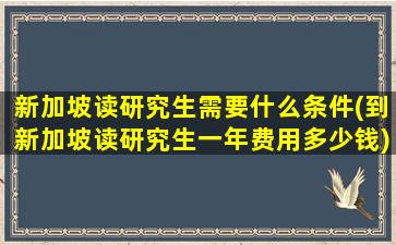 新加坡读研究生需要什么条件(到新加坡读研究生一年费用多少钱)