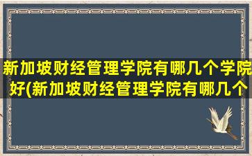 新加坡财经管理学院有哪几个学院好(新加坡财经管理学院有哪几个学院专业)